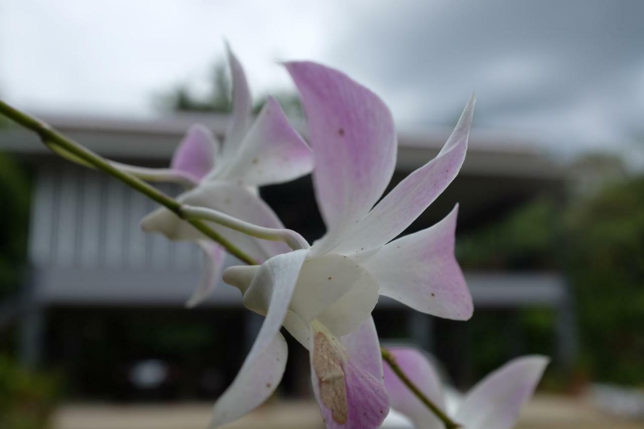 Rai Boonsom Homestay Phrao